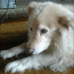 Meet your Posher, Brian a